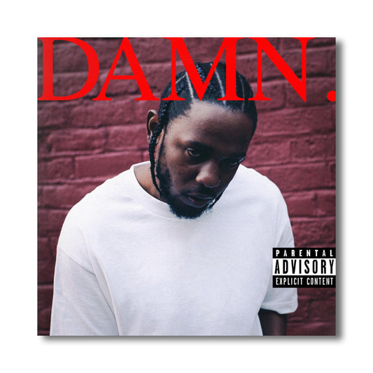 Damn. Acrylic Wall Art