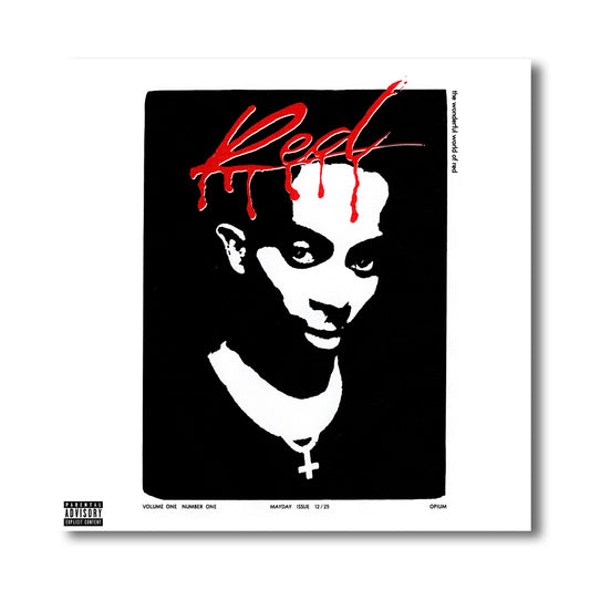 Whole Lotta Red Acrylic Wall Art